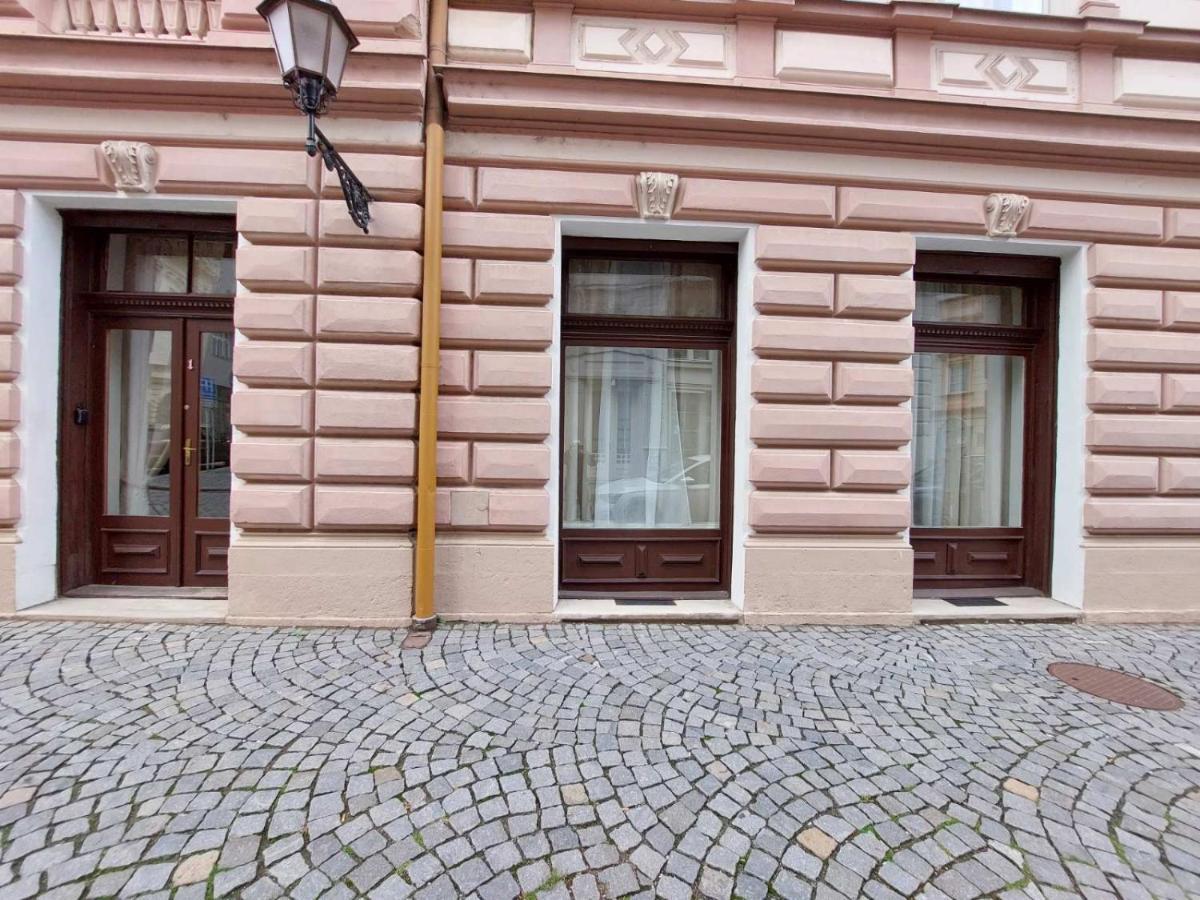 Exkluzivni Apartman V Prizemi V Hradci Kralove Hradec Kralove Exterior photo